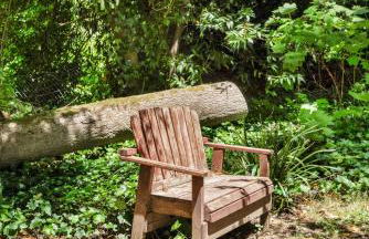 Cozy Riverfront Cabin Just Steps to the Russian River with Beach Access & Wood Stove - Foto 48