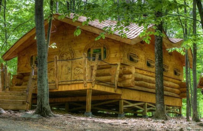 Parc Omega - Foto 21