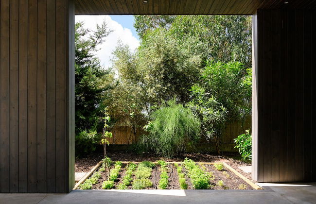 Dream Guincho - Foto 48