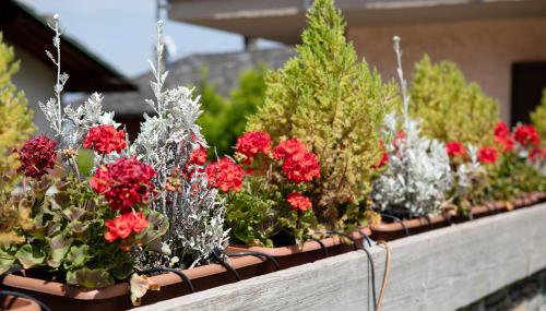 Maison Le Cré Appartamento 3 - Photo 3