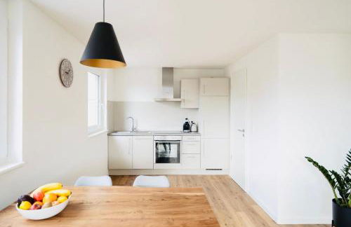 VILLA BERTA-EuropaPark-Schwarzwald-Freiburg - Foto 21