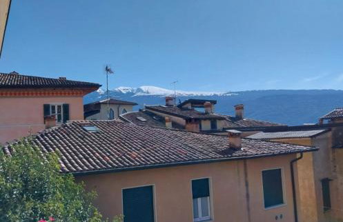 Il limone - Foto 38
