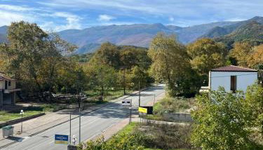 Drosia Hotel - Photo 4