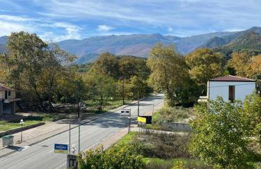 Drosia Hotel - Photo 4