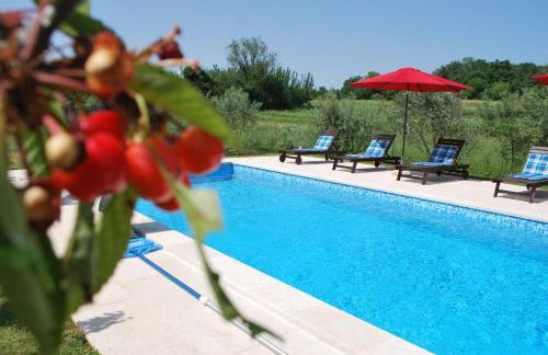 Villa Dorina - Foto 9