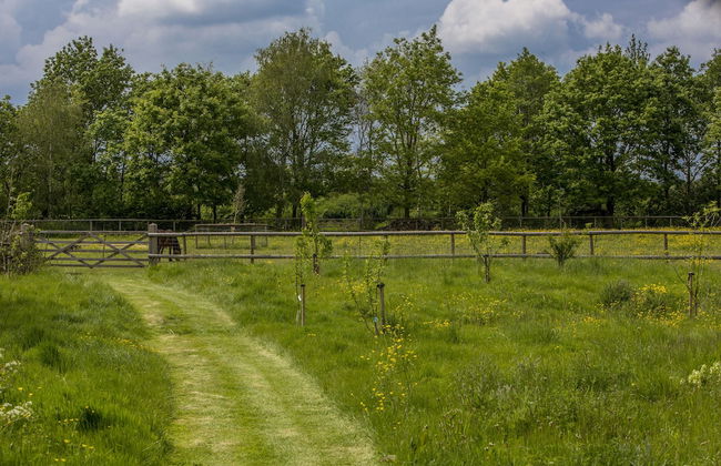 The Cowsheds - Photo 38