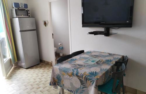 Studio pied dans l'eau Petite Plage de Domino pour 4 personnes - Foto 3