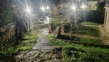 Platanos Nest -Pet Friendly - Foto 5