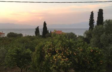 Lovely Apartment Next to the Sea Lygia Korinthias - Foto 14