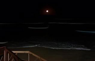 Ap próximo ao Beto Carreiro aeroporto Navegantes - Photo 6