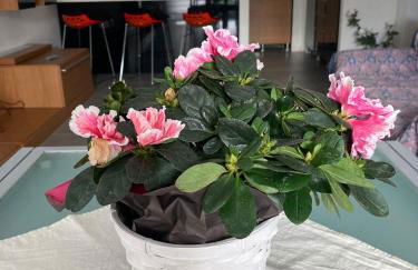 SEVEN HOUSE - Foto 11