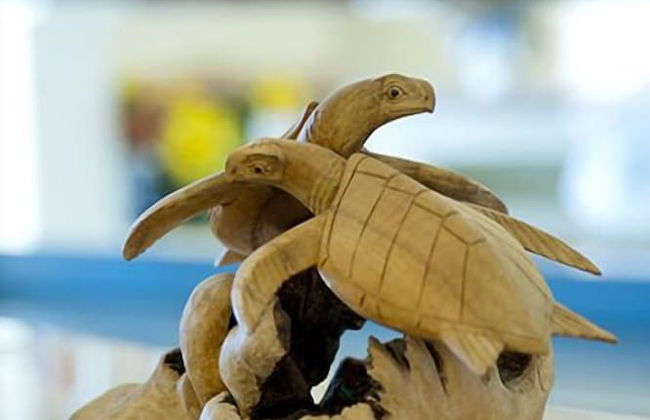 Caretta Beach - Foto 44