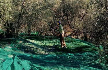 Agrisport Cà di Cuni - Foto 68