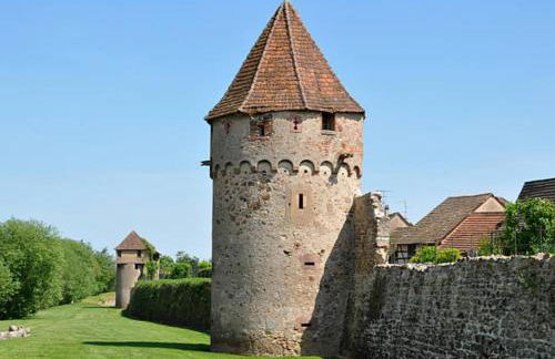 Cocon de caractère au cœur des vignes Alsaciennes - Foto 38