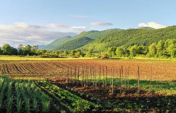 Apartman NINA - Foto 47