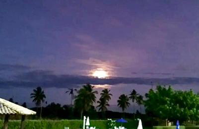 Gavoa Resort - 2 quartos - BL D apt 209 - Foto 46