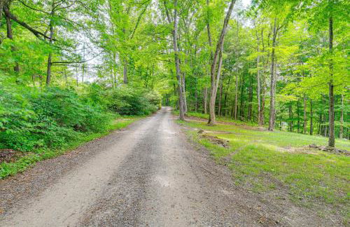 Peaceful South Holston Lake Cabin with Dock and Deck! - Foto 30