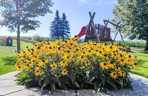 Ferienwohnung Lichtenauer Hof - Foto 23