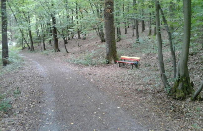 Regal Apartment in Pracht With Garden and Grill - Foto 38