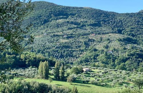Agriturismo La Terrazza su Farfa - Foto 46