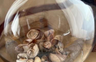 613 Promenade, Ingoldmells - Foto 11