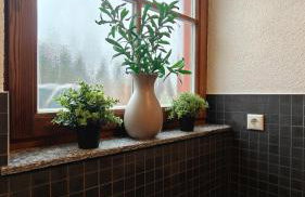 Ferienhäuser Dettenhöfer - Tor zur Fränkischen Schweiz - Foto 32