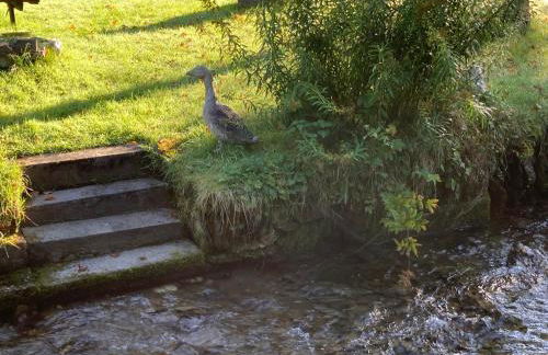Ferienwohnungen Rothaarglück - Photo 30