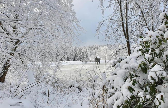Apartment on the Lakeside in Hahnenklee - Foto 36