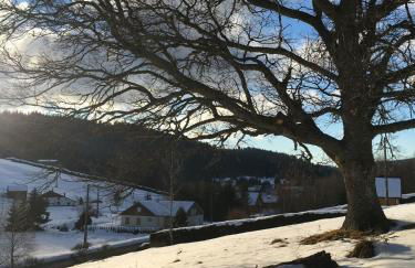 Cocon au cœur des Vosges - Foto 18