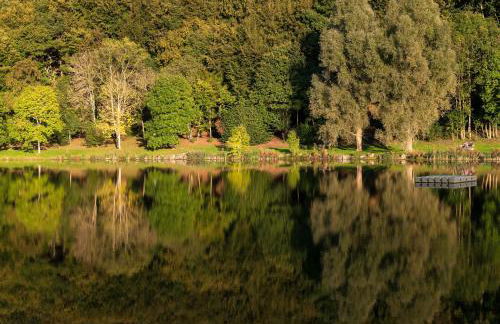 Eifel & See - Ferienhäuser am Waldsee Rieden/Eifel - Foto 21