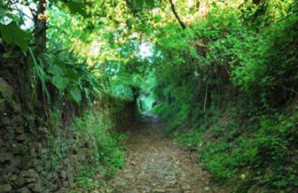 Casas Rurales Camino del Castaño - Foto 29