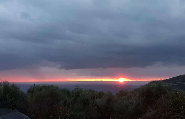 Olive Tree Apartment - Foto 78