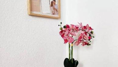 Flair-Apartments 'Apartment nähe Schlosspark', 300 m Bahnhof, Innenstadt Bad Salzuflen Stadtteil Schötmar, für Urlaub oder Geschäftsreise, separater Eingang, 24 Std Check-in,WLAN, Streaming-Fernseher, Küche, Regendusche, Doppelbett, 2 Schlafsofa - Foto 5