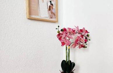 Flair-Apartments 'Apartment nähe Schlosspark', 300 m Bahnhof, Innenstadt Bad Salzuflen Stadtteil Schötmar, für Urlaub oder Geschäftsreise, separater Eingang, 24 Std Check-in,WLAN, Streaming-Fernseher, Küche, Regendusche, Doppelbett, 2 Schlafsofa - Foto 5