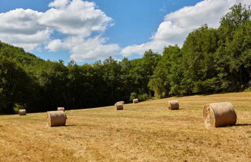 Domaine de Cantegrel - Gîtes de Charme et Suite Troglodyte en Périgord - Foto 56