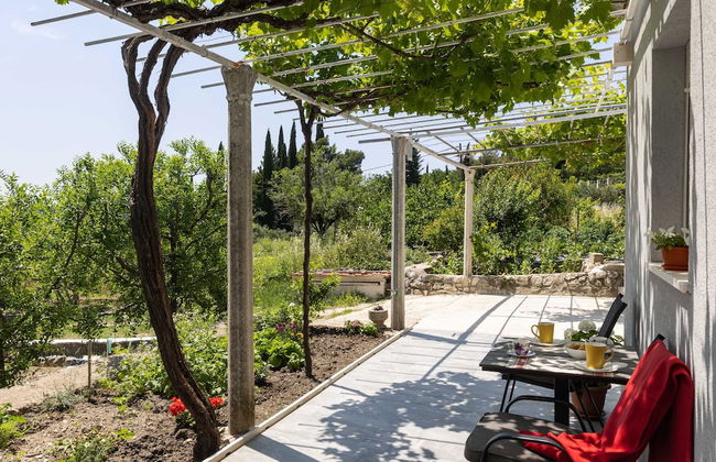 Apartments Roza - Foto 1