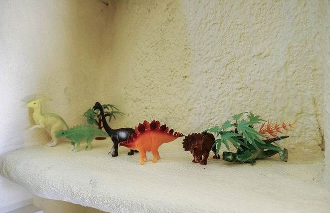 Bangmara Hill - Foto 17