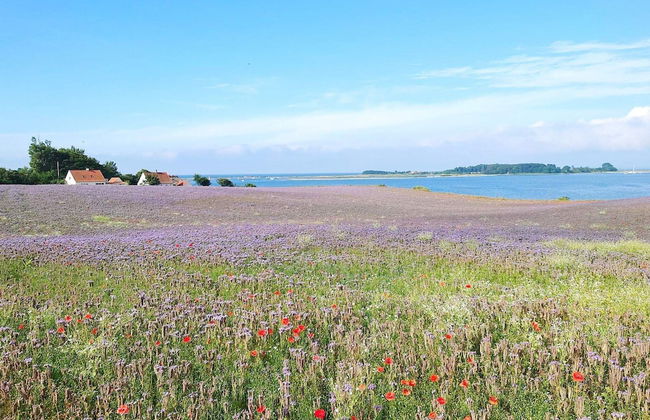 5 Star Holiday Home in Assens - Foto 16