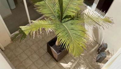 Cala Mandia - Foto 3