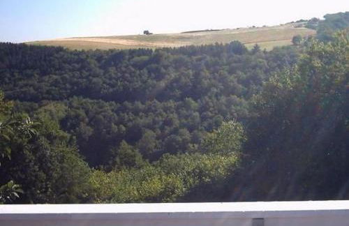 Morbach Hillside Mansion - Foto 41