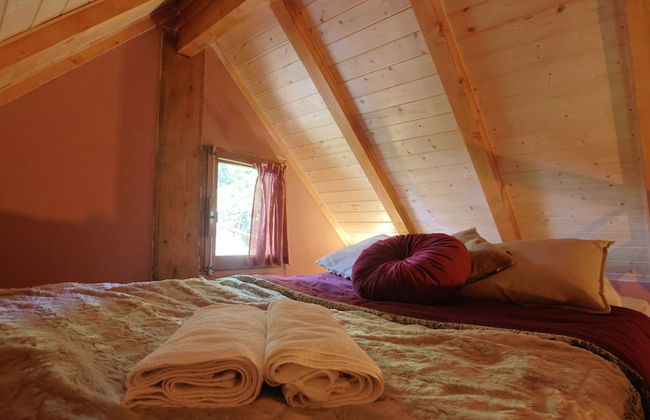 Associação Quinta das Relvas - Foto 23