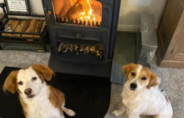 Muddy Boots Scarpa - Photo 7