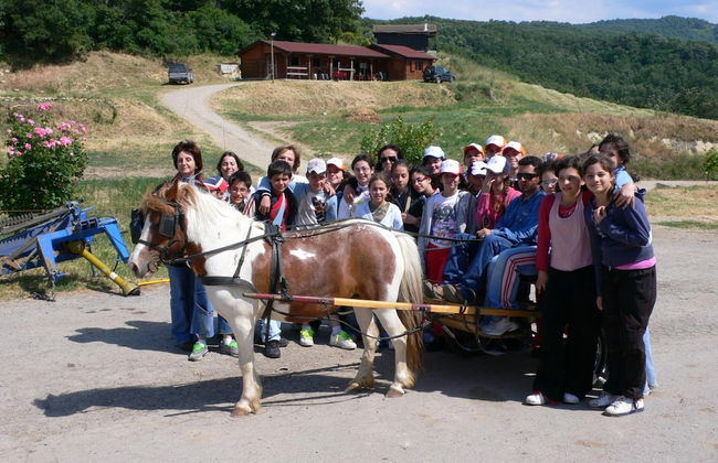 Masseria Straziuso - La Vaccariccia - Photo 43