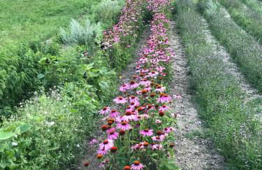 CASA San Gallo - Foto 36