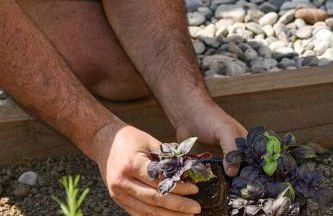 Casa Zefìra - Foto 103