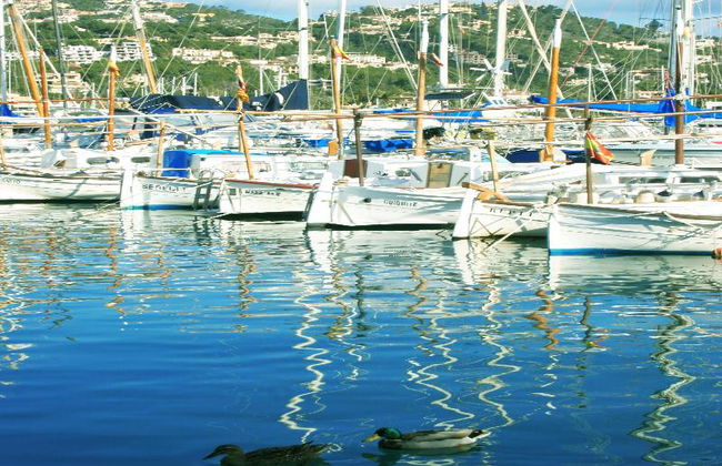 Hotel La Pergola Mallorca - Foto 70