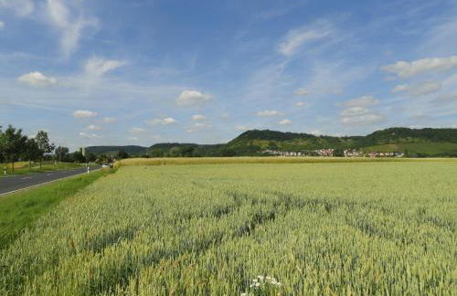 Quaint Apartment in Zeil am Main With Terrace - Foto 72