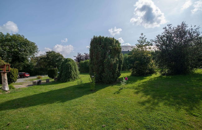 The Waltz of the Chickadees in Somme Leuze - Foto 49