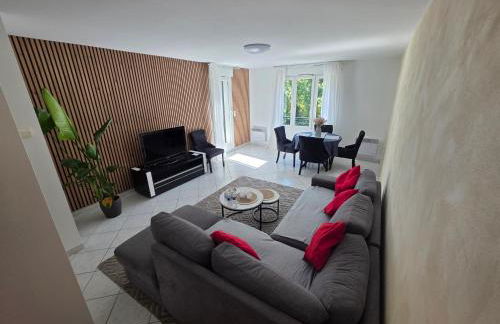 Grand appartement Proche Paris CDG Disney - Foto 1