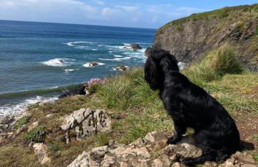 Cuddfan Fach - Pembrokeshire Stunning Barn near the Coastal Path - Foto 63